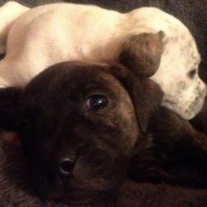 Meet your Posher, Christy46176